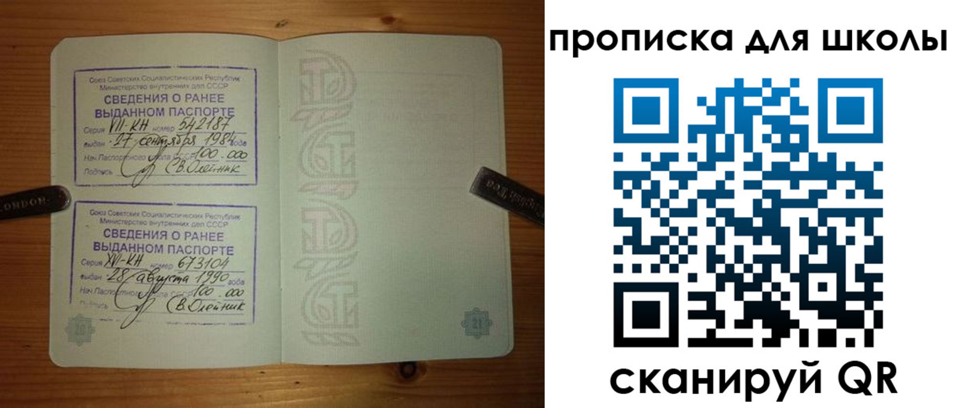 прописка для школы в Кольчугино